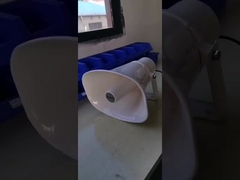 Presidente del cuerno del IP POE