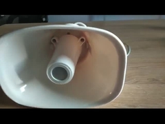 PRESIDENTE DEL CUERNO