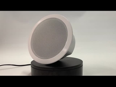 FIP-906 ALTAVOZ DE TECHO DEL IP POE